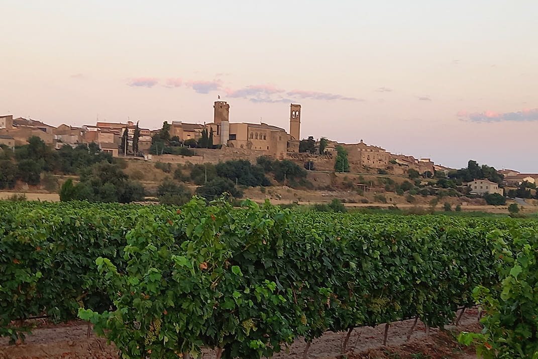 verdu